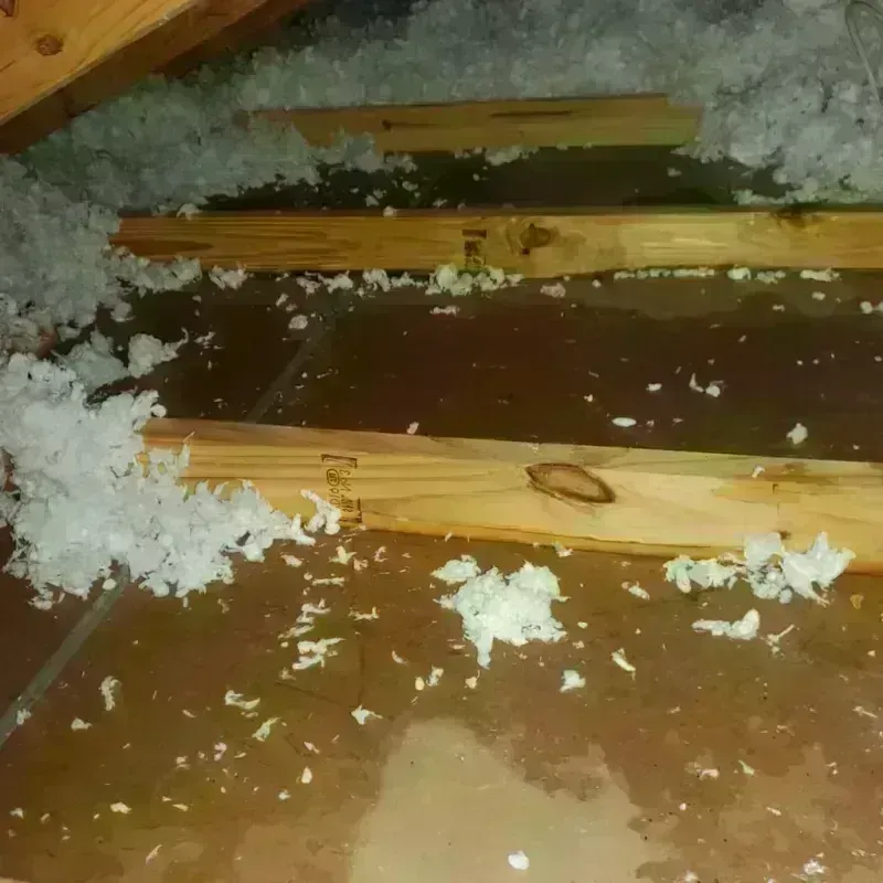 Attic Water Damage in Chelsea, AL