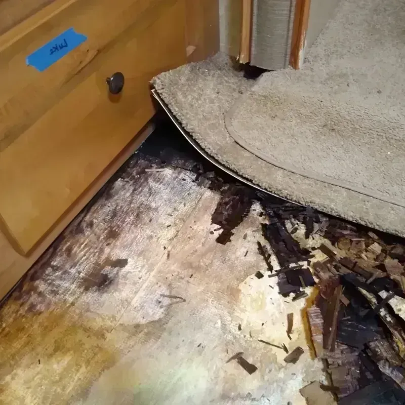 Wood Floor Water Damage in Chelsea, AL